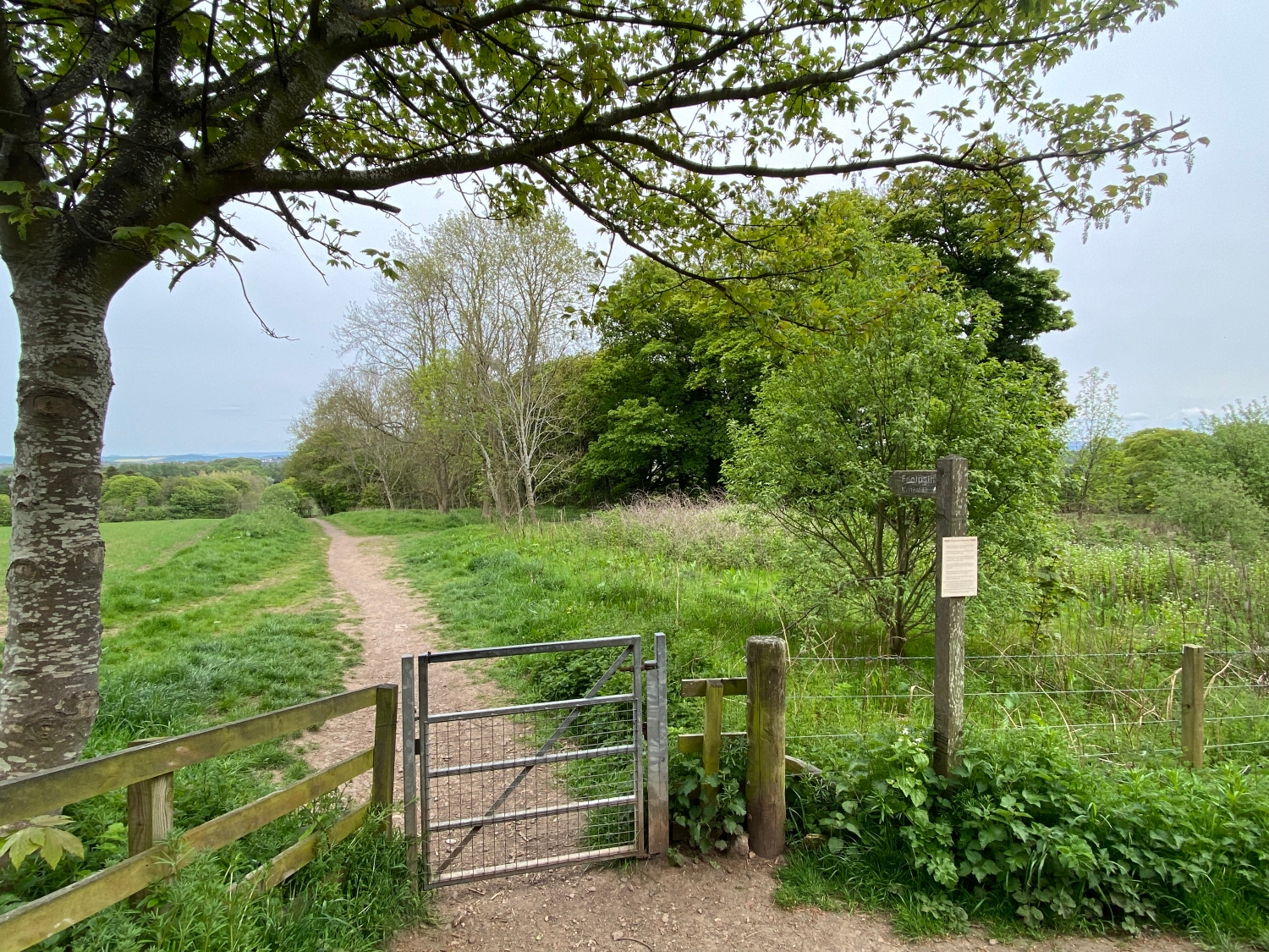 Morton Hall Curious Edinburgh