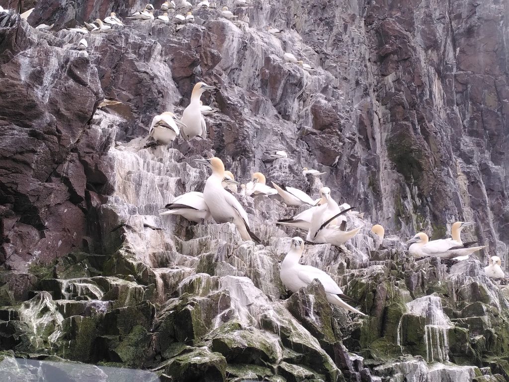 The Oyster Club Curious Edinburgh