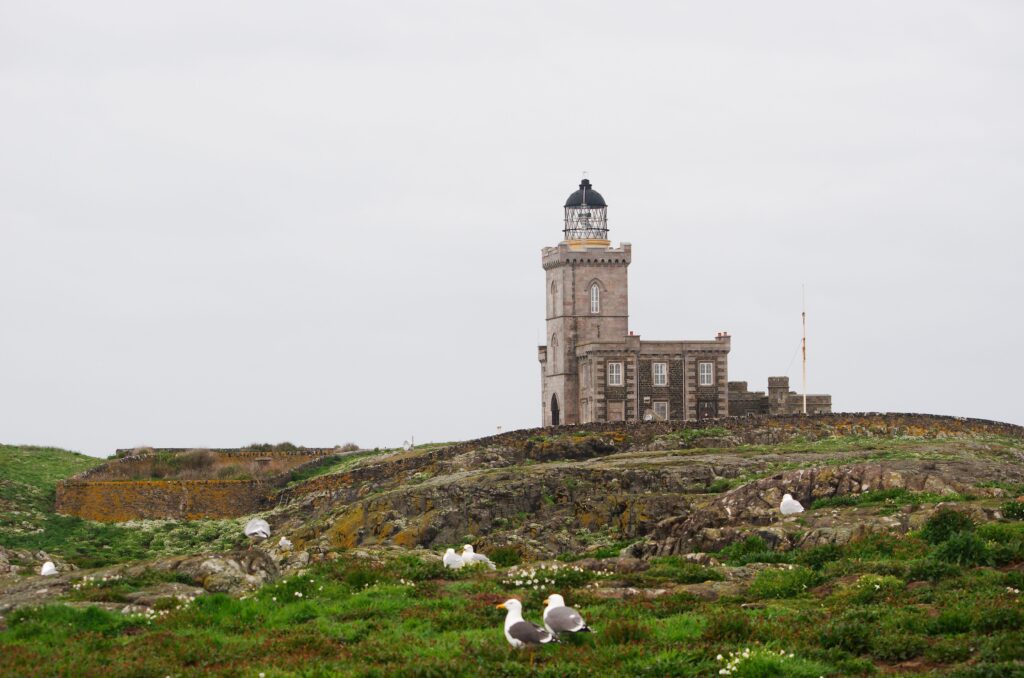 Stone lighthouse on a green rocky hill with gulls in the foreground and grey skies in the background.