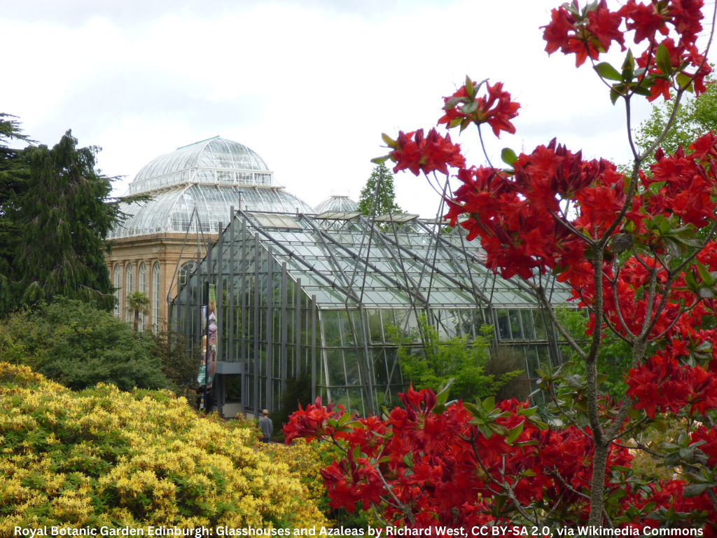 Botanic garden glass greenhouses with a domed glass building in the background and red azaleas (flowers) in the foreground.