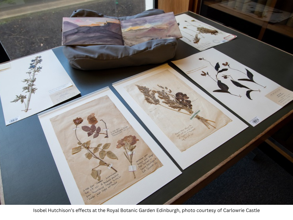 A table with several pressed plant specimens and a watercolour book open to a painting of a tundra-like landscape.