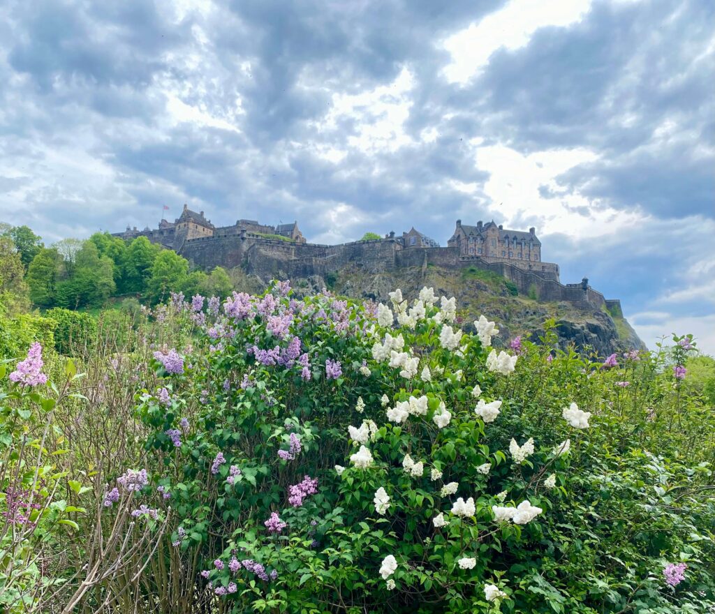 Purple and white flowers in the foreground; Edinburgh Castle atop a rock hillside in the background against a grey-blue cloudy sky.