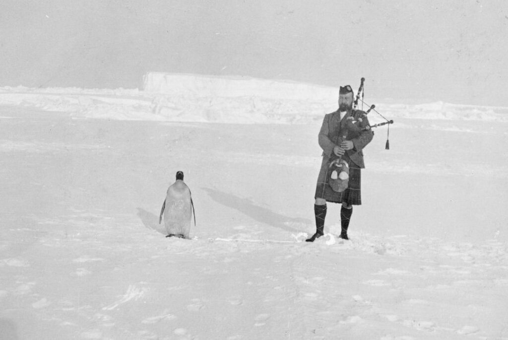 Black and white photo with an upright penguin on the left and a man wearing a full kilt ensemble playing a bagpipe in the snow. 